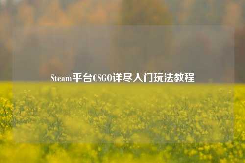 Steam平台CSGO详尽入门玩法教程