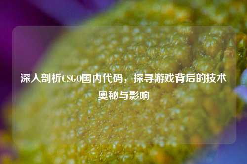 深入剖析CSGO国内代码，探寻游戏背后的技术奥秘与影响