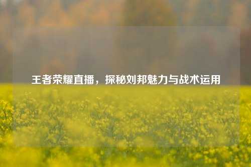 王者荣耀直播，探秘刘邦魅力与战术运用