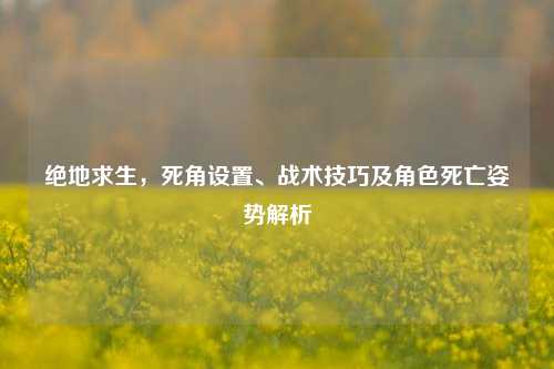 绝地求生,死角设置、战术技巧及角色死亡姿势解析