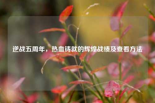 逆战五周年,热血铸就的辉煌战绩及查看方法