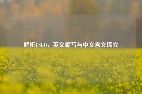 解析CSGO，英文缩写与中文含义探究