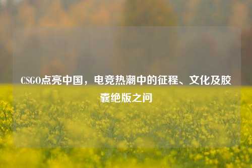 CSGO点亮中国,电竞热潮中的征程、文化及胶囊绝版之问