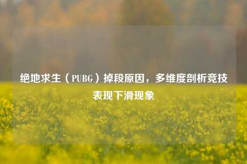 绝地求生(PUBG)掉段原因,多维度剖析竞技表现下滑现象