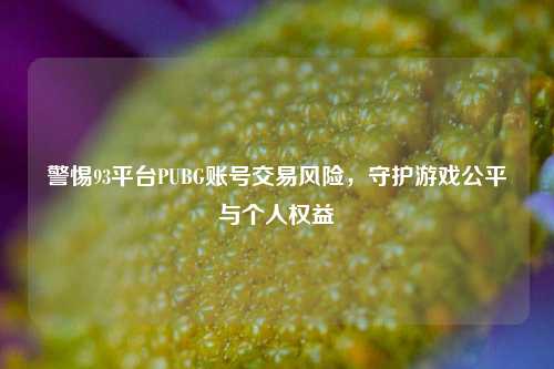 警惕93平台PUBG账号交易风险,守护游戏公平与个人权益