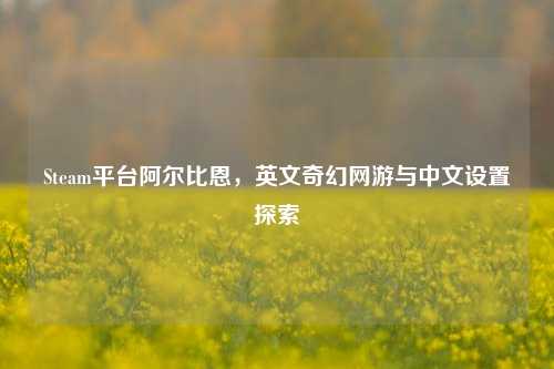 Steam平台阿尔比恩,英文奇幻网游与中文设置探索