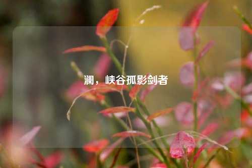 澜,峡谷孤影剑者
