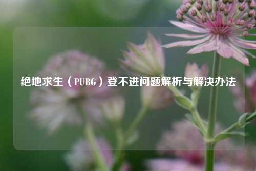 绝地求生(PUBG)登不进问题解析与解决办法
