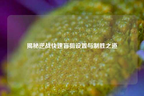 揭秘逆战快速盲狙设置与制胜之道