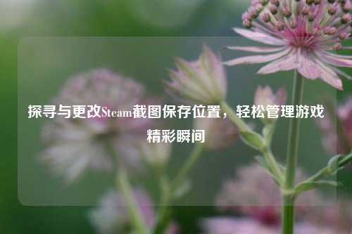探寻与更改Steam截图保存位置,轻松管理游戏精彩瞬间