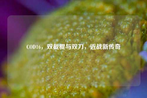 COD16，双截棍与双刀，近战新传奇