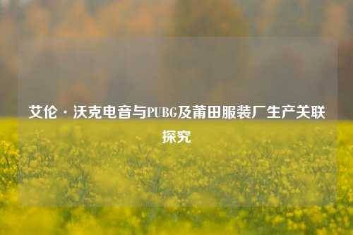 艾伦·沃克电音与PUBG及莆田服装厂生产关联探究