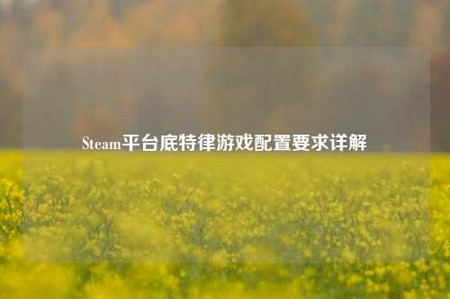 Steam平台底特律游戏配置要求详解