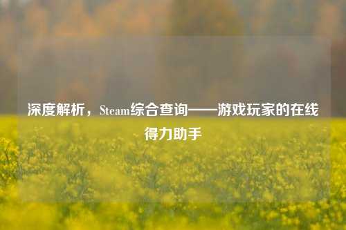 深度解析,Steam综合查询——游戏玩家的在线得力助手