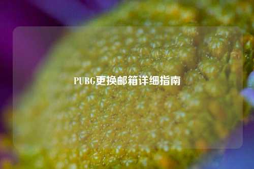 PUBG更换邮箱详细指南