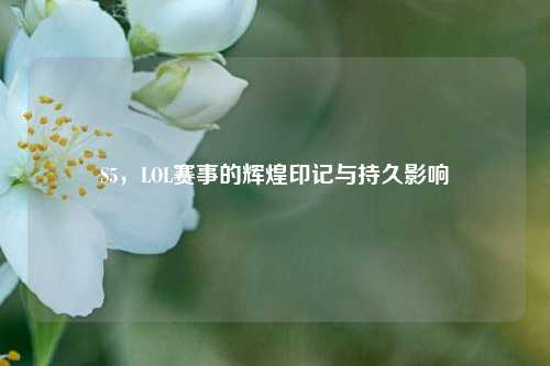 S5,LOL赛事的辉煌印记与持久影响