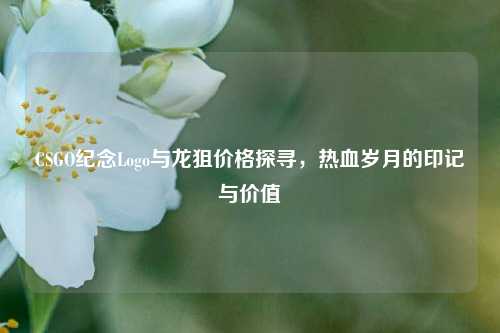 CSGO纪念Logo与龙狙价格探寻,热血岁月的印记与价值