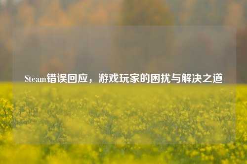 Steam错误回应，游戏玩家的困扰与解决之道