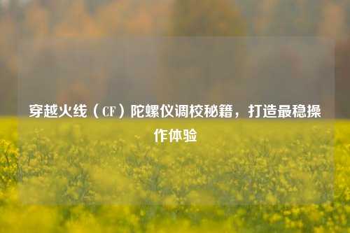 穿越火线(CF)陀螺仪调校秘籍,打造最稳操作体验