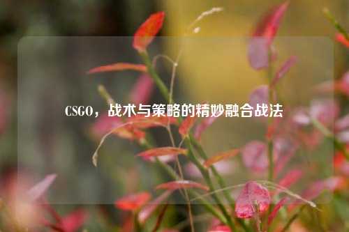 CSGO，战术与策略的精妙融合战法