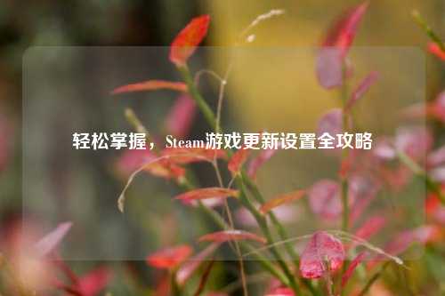 轻松掌握,Steam游戏更新设置全攻略