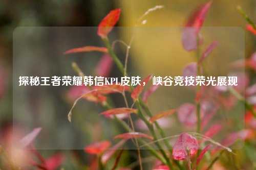 探秘王者荣耀韩信KPL皮肤，峡谷竞技荣光展现