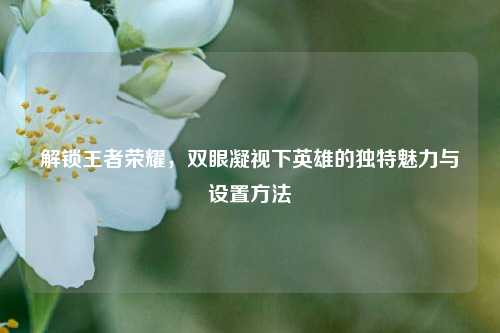 解锁王者荣耀，双眼凝视下英雄的独特魅力与设置方法