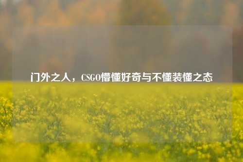 门外之人,CSGO懵懂好奇与不懂装懂之态