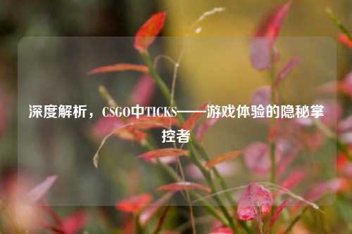 深度解析,CSGO中TICKS——游戏体验的隐秘掌控者