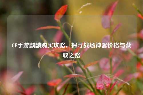 CF手游麒麟购买攻略,探寻战场神器价格与获取之路