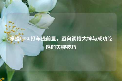 掌握PUBG打车提前量,迈向钢枪大神与成功吃鸡的关键技巧