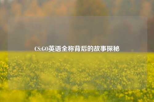 CS:GO英语全称背后的故事探秘