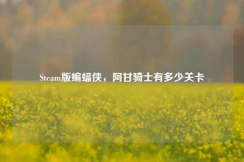 Steam版蝙蝠侠,阿甘骑士有多少关卡