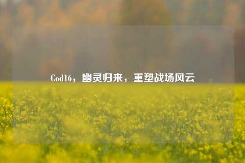 Cod16,幽灵归来,重塑战场风云