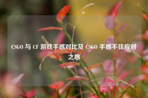 CSGO 与 CF 游戏手感对比及 CSGO 手感不佳应对之思