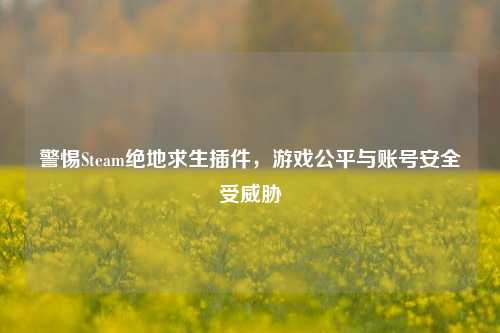 警惕Steam绝地求生插件，游戏公平与账号安全受威胁