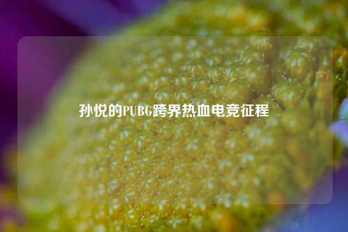 孙悦的PUBG跨界热血电竞征程