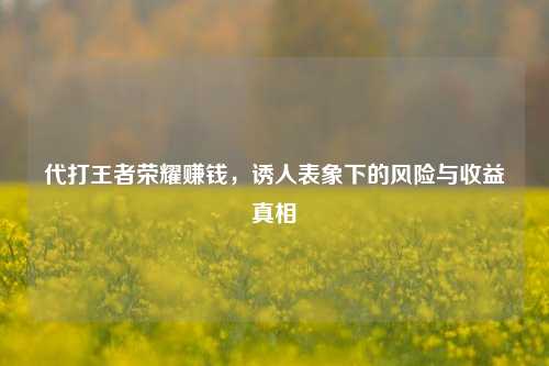 代打王者荣耀赚钱,诱人表象下的风险与收益真相