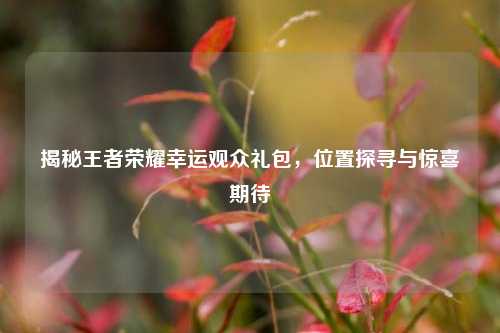 揭秘王者荣耀幸运观众礼包,位置探寻与惊喜期待