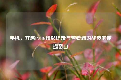 手机，开启PUBG精彩记录与查看端游战绩的便捷窗口