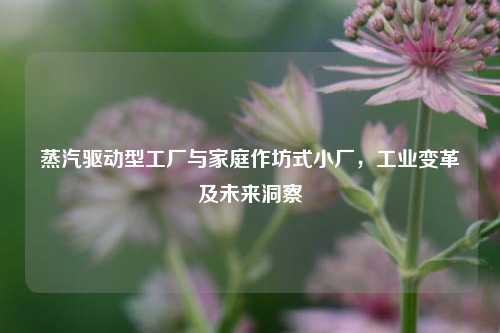 蒸汽驱动型工厂与家庭作坊式小厂,工业变革及未来洞察