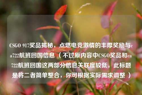CSGO 917奖品揭秘,点燃电竞激情的丰厚奖励与ca722航班回国信息 (不过原内容中CSGO奖品和ca722航班回国这两部分信息关联度较低,此标题是将二者简单整合,你可根据实际需求调整 )