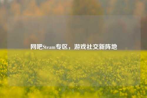 网吧Steam专区,游戏社交新阵地