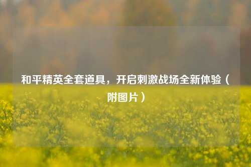 和平精英全套道具,开启刺激战场全新体验(附图片)