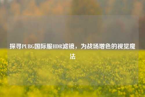 探寻PUBG国际服HDR滤镜,为战场增色的视觉魔法