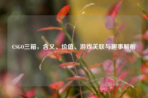 CSGO三箱,含义、价值、游戏关联与趣事解析