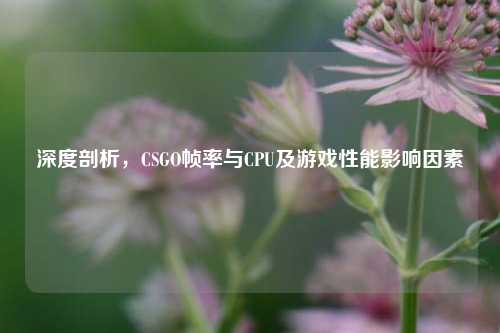 深度剖析，CSGO帧率与CPU及游戏性能影响因素