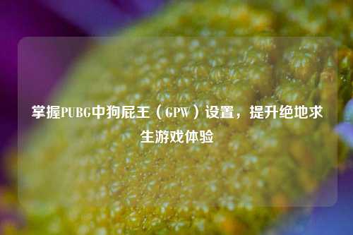掌握PUBG中狗屁王(GPW)设置,提升绝地求生游戏体验
