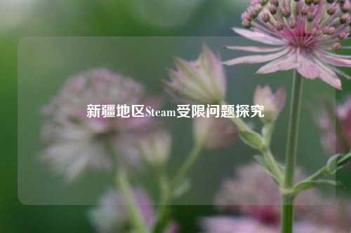 新疆地区Steam受限问题探究