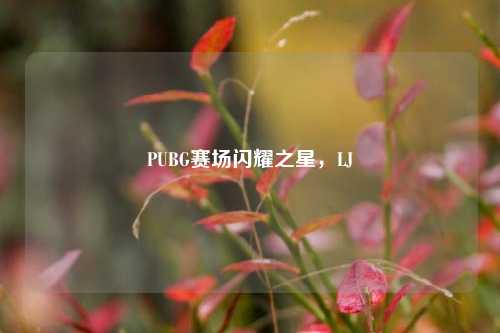 PUBG赛场闪耀之星,LJ
